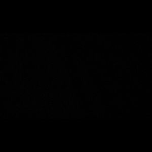 Meet your Posher, Calla